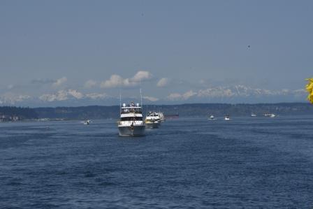 Parade of Boats Daffodil 2022